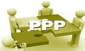 国产ppp视频在线,探索中国影视新纪元