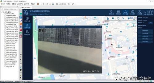 国产系统视频播放插件,创新与突破的视听盛宴